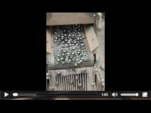 ̿�ډ���ҕ�l